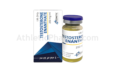 Testosterone Enanthate (Genetic) 10ml